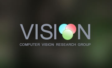 VISION RESEARCH GROUP